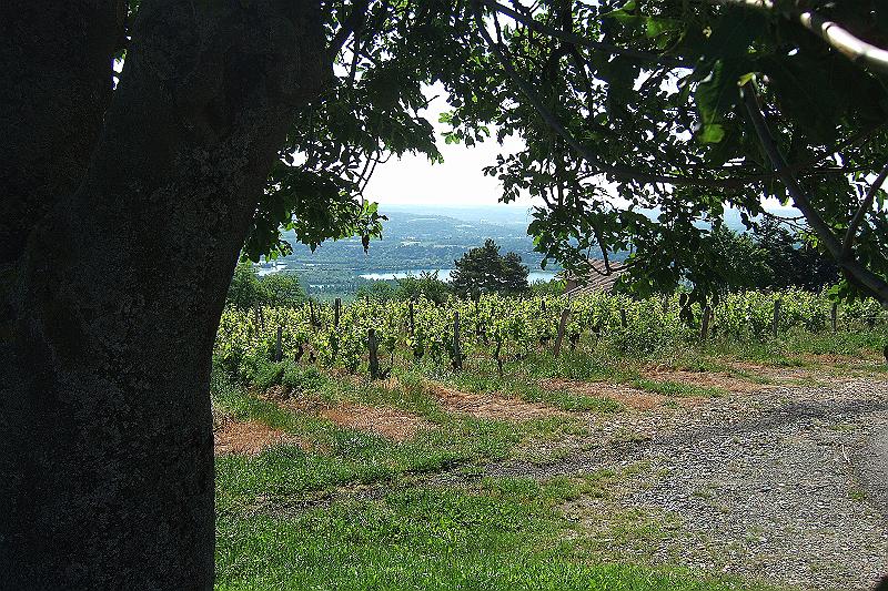2010-06- (19).JPG